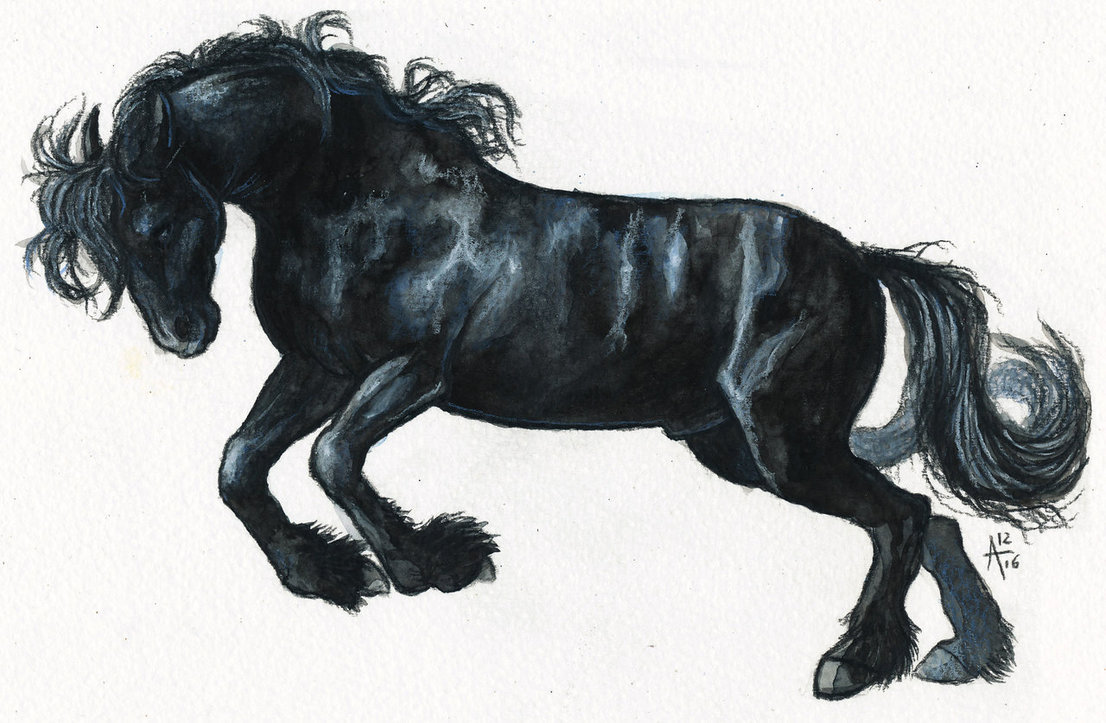 1106x723 Black Horse (Speedpaint Video) By Arven92 - Black Horse Sketch