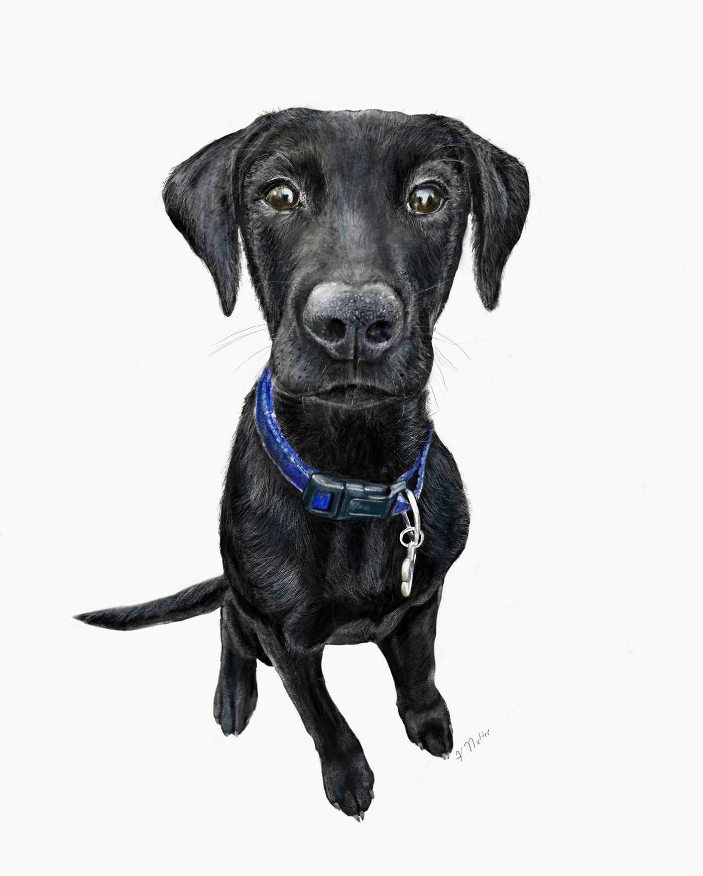1400x1745 Sirius Black Black Lab Portrait On Adobe Sketch On Behance - Black Lab Sketch