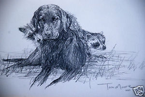 300x201 Tara Moore (Us, 1950 ) Beautifully Framed Original Pencil Sketch - Black Lab Sketch