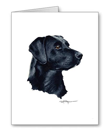 425x521 Black Labrador - Black Labrador Sketch