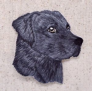 300x298 Black Lab Head Puppydog Labrador Retriever Iron On Applique - Black Labrador Sketch