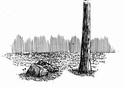 400x281 Learn To Draw Simple Landscapes In Pen And Ink My Pen And Ink - Black Pen Sketches