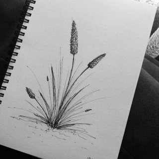 320x320 Quick Pen Sketch - Black Pen Sketches