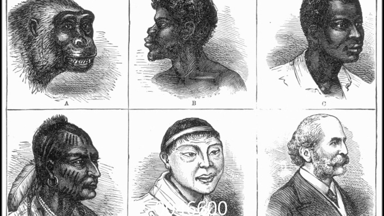 1280x720 Look At Those Monkeys (Black People) - Black People Sketches