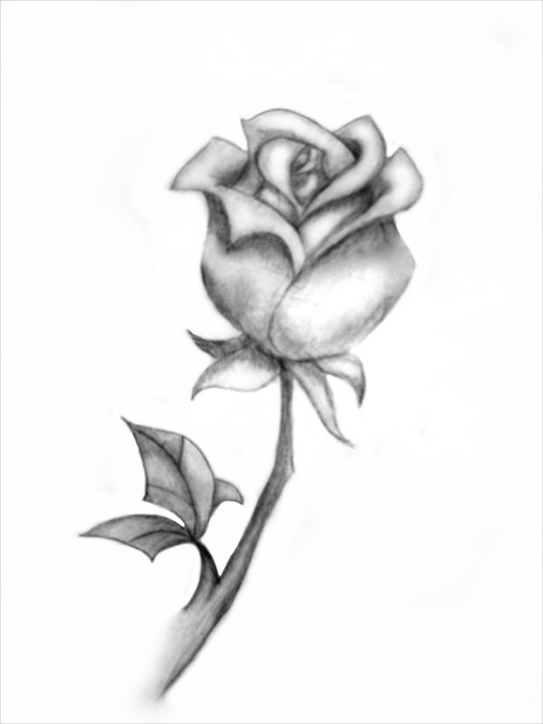 600x800 My Black Rose Rimatoya2003 Foundmyself - Black Rose Sketch