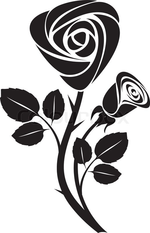 515x800 Sketch Black Rose Art Colorful Vector Illustration Stock Vector - Black Rose Sketch