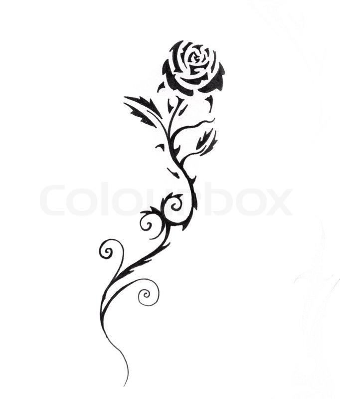 682x800 Sketch Of Tattoo Art, Black Rose Stock Photo Colourbox - Black Rose Sketch