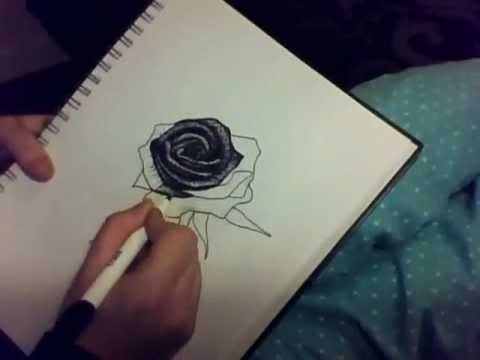 480x360 Timelapse Drawing Of A Simple Rose In Black Pen - Black Rose Sketch
