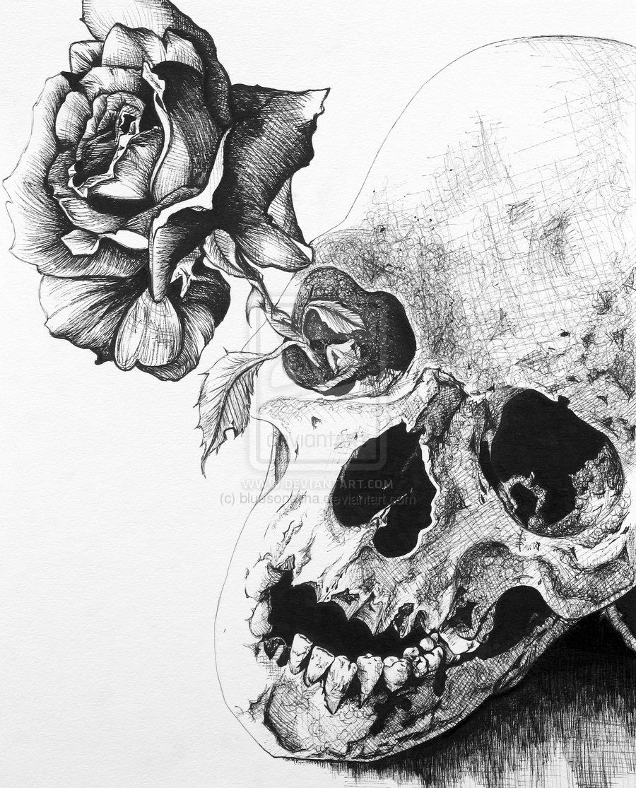 900x1115 Dark Rose Sketch Black Rose By Bluesonatina Traditional Art - Black Rose Sketch