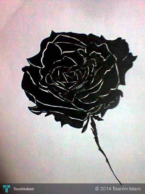 480x640 Black Rose Sketch Touchtalent - Black Rose Sketch