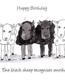262x325 Happy Birthday One Black Sheep Recognises Another Irish - Black Sheep Sketch