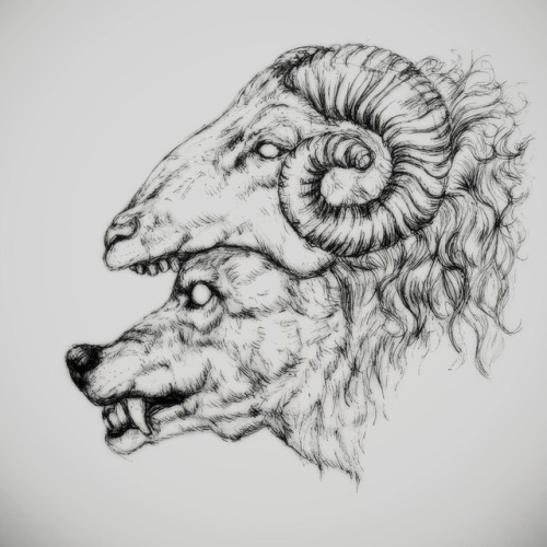 500x500 Black Sheep Tattoo Tumblr - Black Sheep Sketch