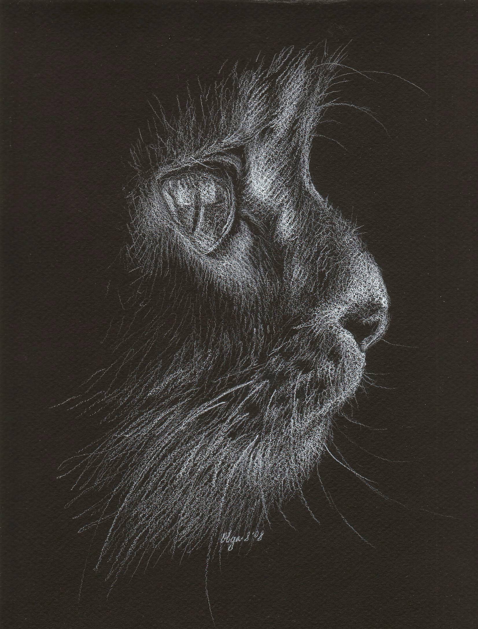 1653x2176 White Pencil On Black Paper Sketch, Oc - Black Sketch