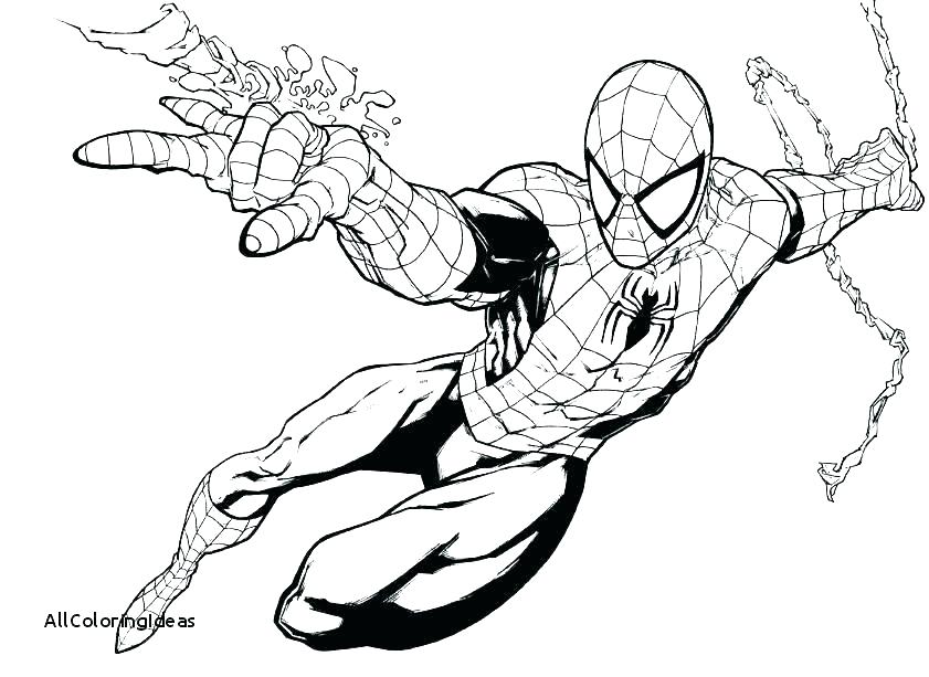 Black Spiderman Sketch at PaintingValley.com | Explore collection of ...