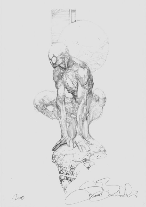566x800 Bianchi - Black Spiderman Sketch