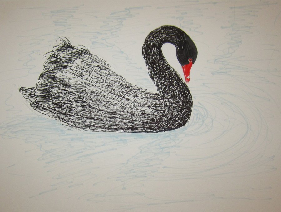 900x681 Black Swan Ink Sketch By Thegundammkii - Black Swan Sketch