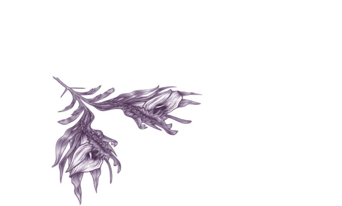 1200x723 Black Swan Takes Wings Fxguide - Black Swan Sketch