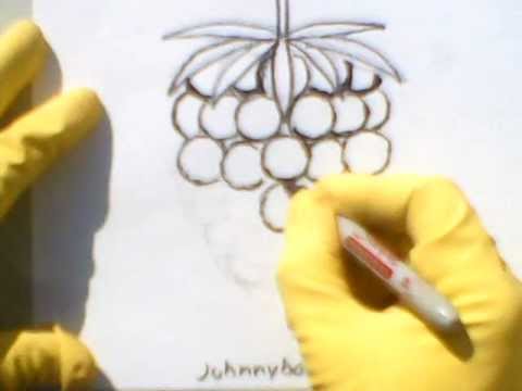 480x360 How To Draw A Blackberry Or Raspberry Step By With Pencil Marker - Blackberry Sketch