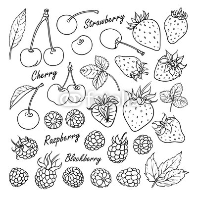 400x400 Set Of Vector Fruits And Berries Cherry, Strawberry, Raspberry - Blackberry Sketch