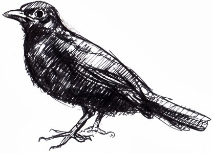 414x299 Claiming Alexandria Modpo 2013 - Blackbird Sketch