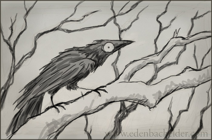 700x462 Eden Bachelder Sketches And Miscellany Sketch New Black Bird - Blackbird Sketch