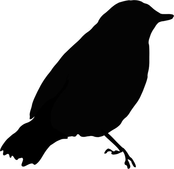 600x584 Black Bird Free Vector In Open Office Drawing Svg ( .svg ) Vector - Blackbird Sketch