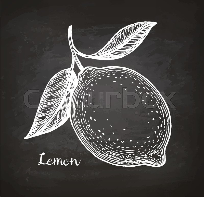 800x772 Lemon. Sketch With Chalk On Blackboard Background. Hand Drawn - Blackboard Sketch