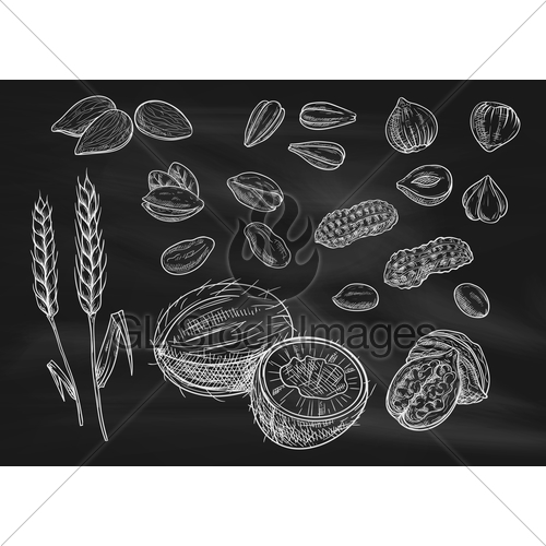 500x500 Nuts, Grain Chalk Sketch Icons On Blackboard Gl Stock Images - Blackboard Sketch