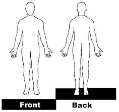 236x221 Human Body Anatomy Outline Printable For Kids - Blank Body Sketch