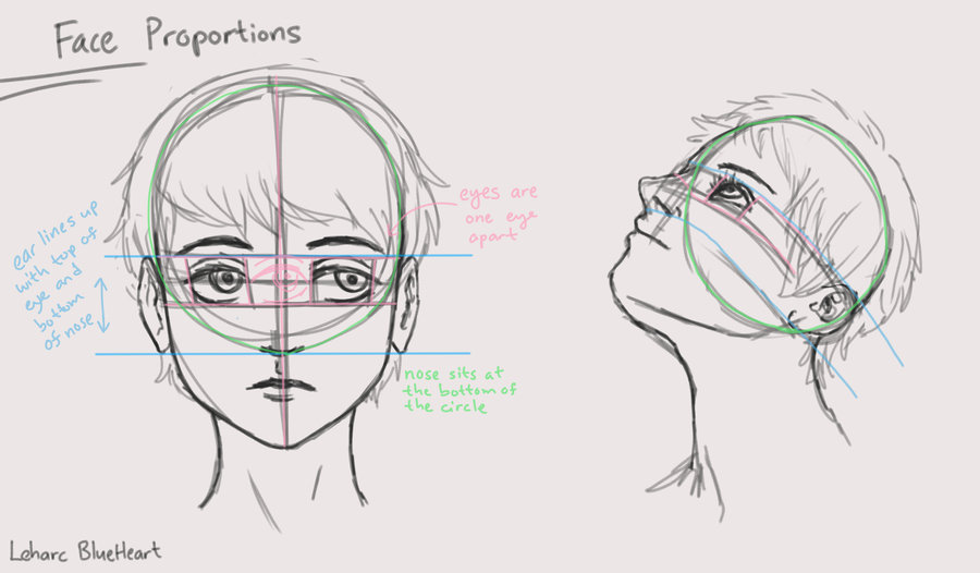 900x526 Art Diagram Of Face - Blank Face Sketch