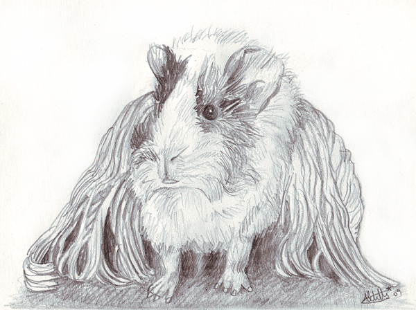 600x448 Sunday Sketch - Blanket Sketch