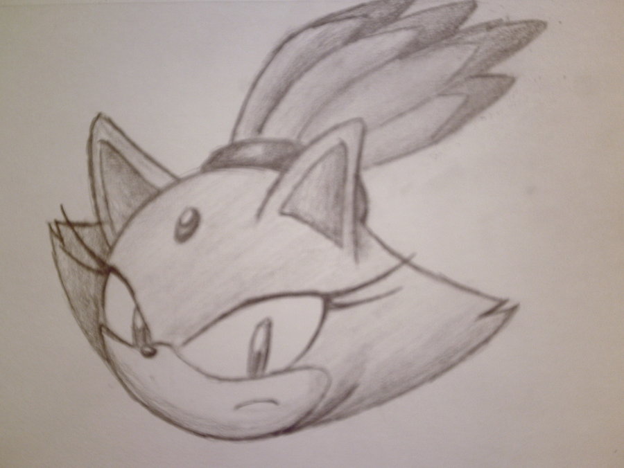 900x676 Blaze The Cat Sketch By Fujikoeurekachamploo - Blaze Sketch