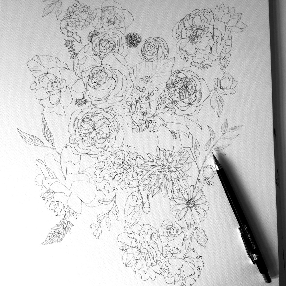 1000x1000 Sundown Blaze Floral Illustration - Blaze Sketch