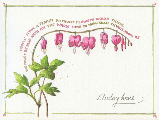 510x384 Everyday Artist Bleeding Heart Sketch With Watercolor Calligraphy - Bleeding Heart Sketch