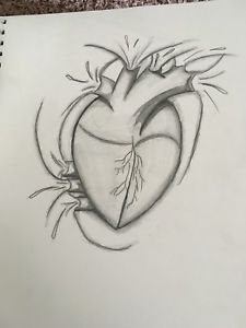 225x300 Bleeding Heart Sketch Ebay - Bleeding Heart Sketch