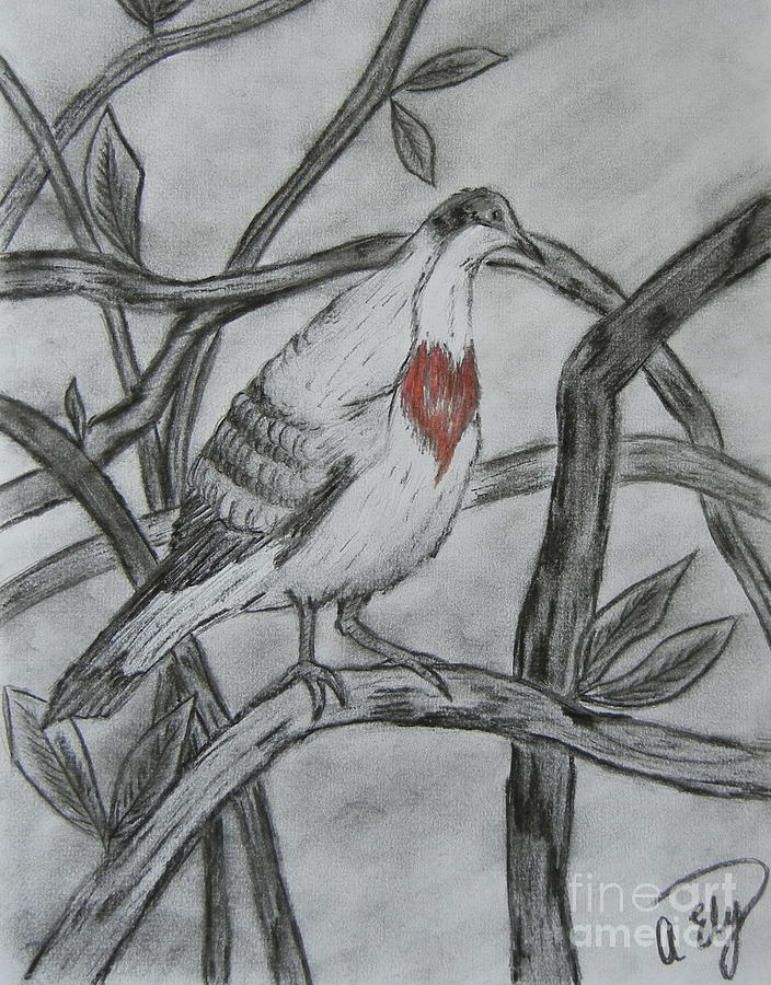 704x900 Bleeding Heart Drawing By Anastasia Ely - Bleeding Heart Sketch