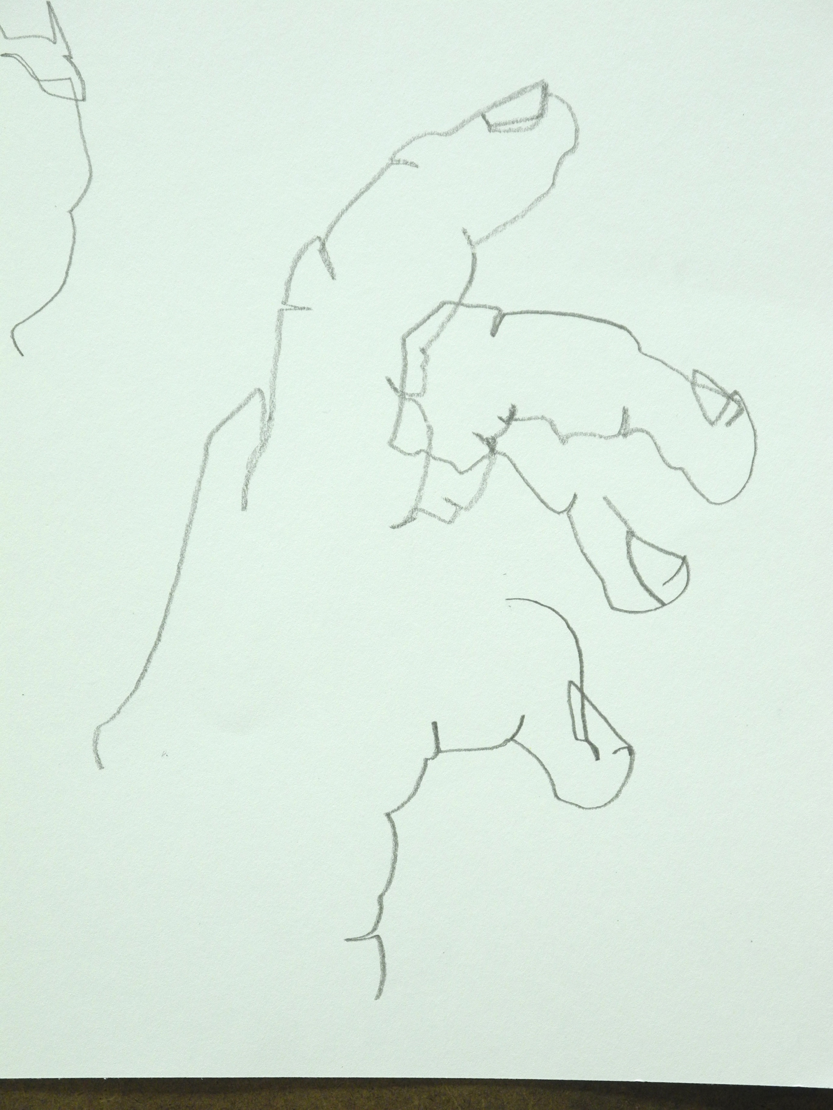 2736x3648 Blind Contour Drawing Scitech Art Department - Blind Sketch