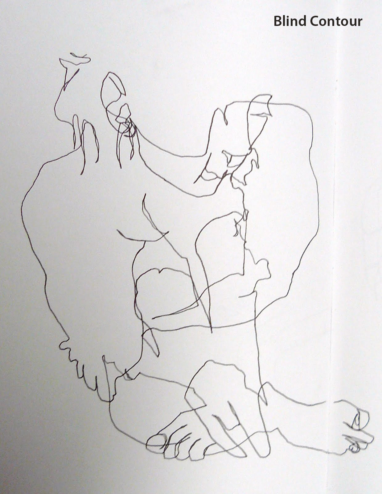 1239x1600 Line Contour, Blind Contour, Gesture, Outline Clarissagregory - Blind Sketch