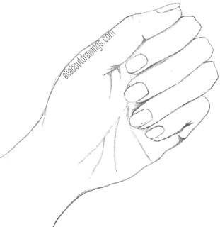 311x320 Blind Contour Drawing - Blind Sketch