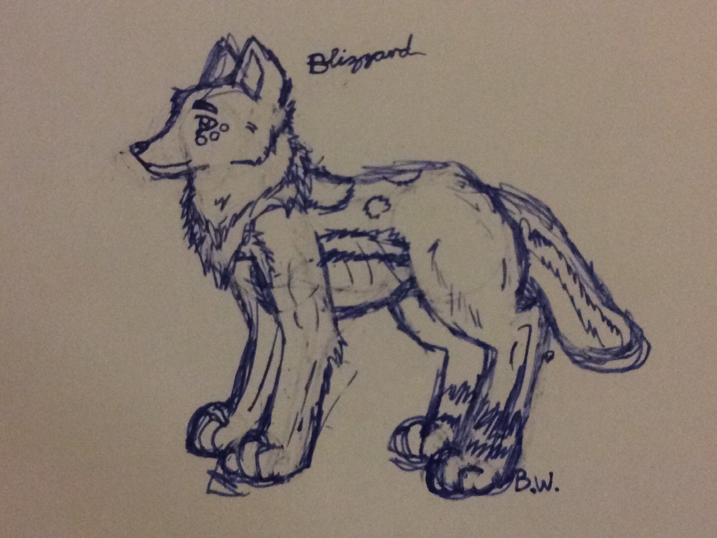 1440x1080 Justa Sketch Of Bliz As A Quadroped Blizzard Furry Wolf - Blizzard Sketch