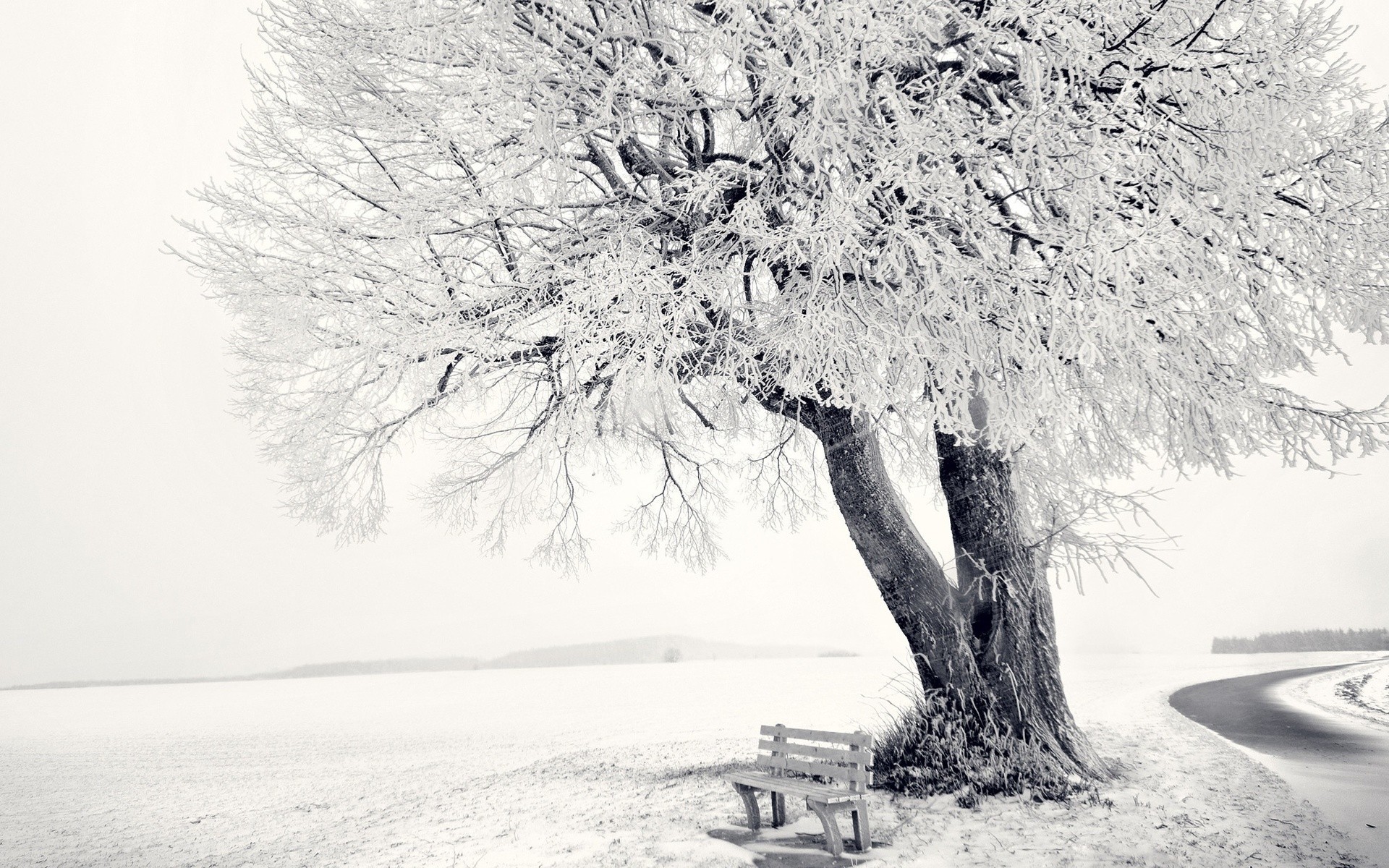 1920x1200 Wallpaper Drawing, Nature, Snow, Branch, Frost, Freezing, Tree - Blizzard Sketch