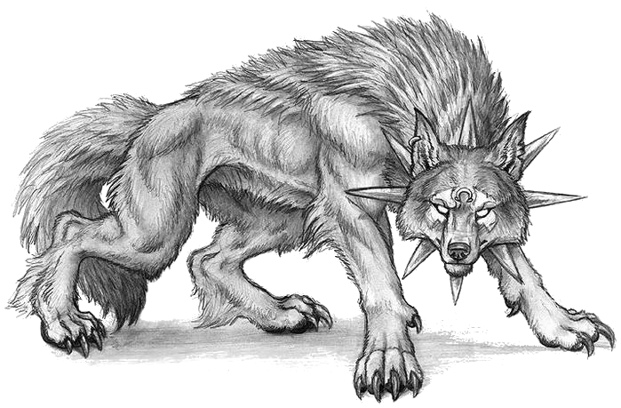 699x459 Bloodhound Drawing Canidae Sketch - Bloodhound Sketch