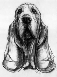 236x320 Pin By Limon Sanat On Limon Akademi Bloodhound - Bloodhound Sketch