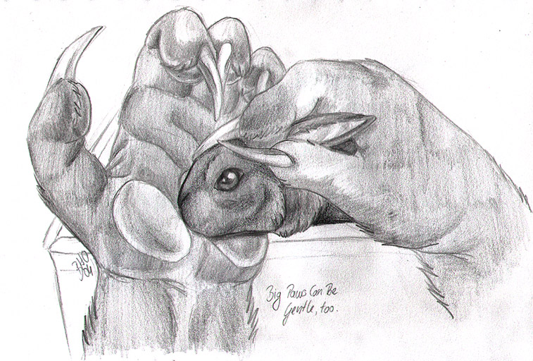 757x512 Vcl - Bloodhound Sketch