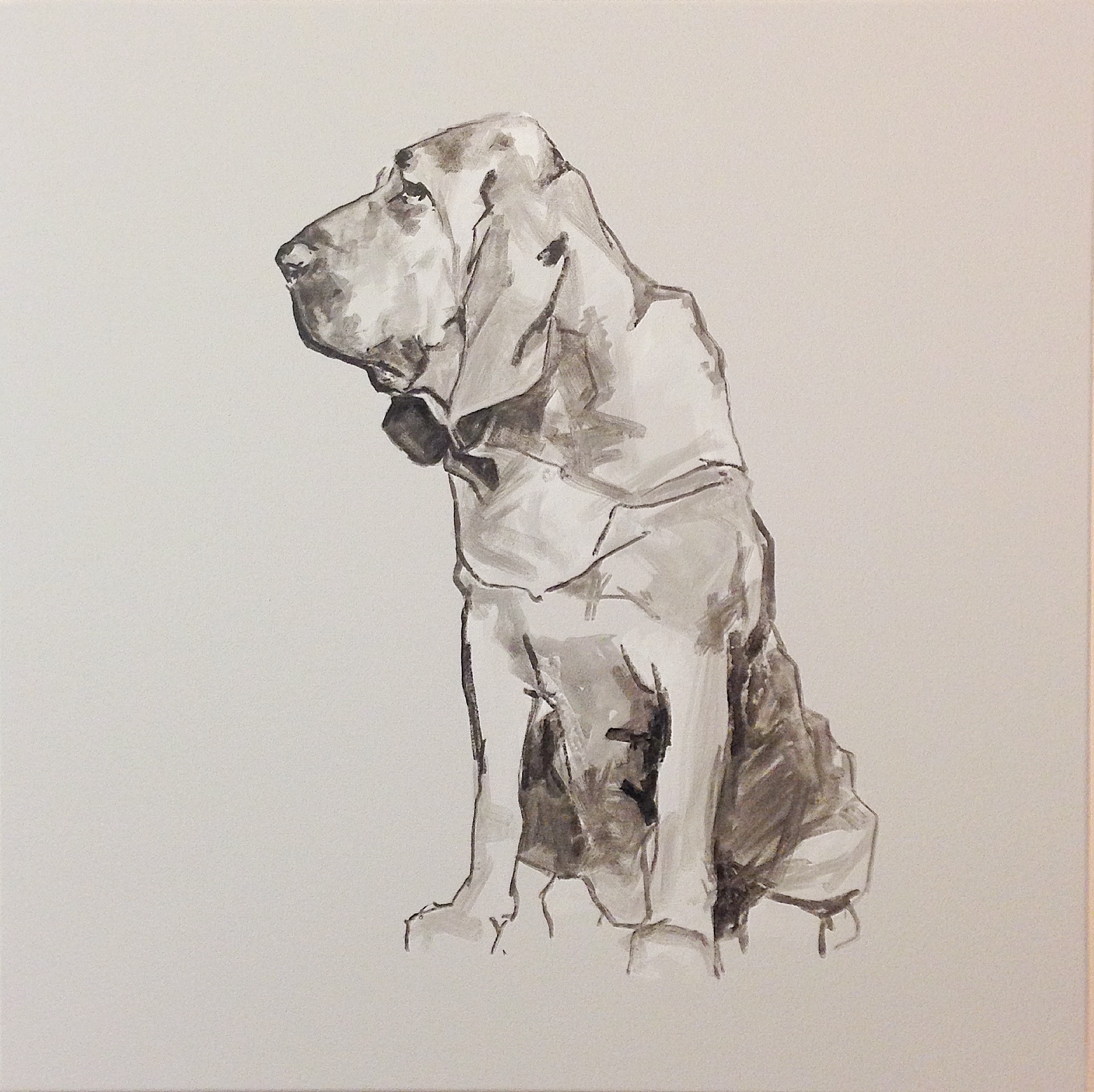 1919x1914 Bloodhound - Bloodhound Sketch