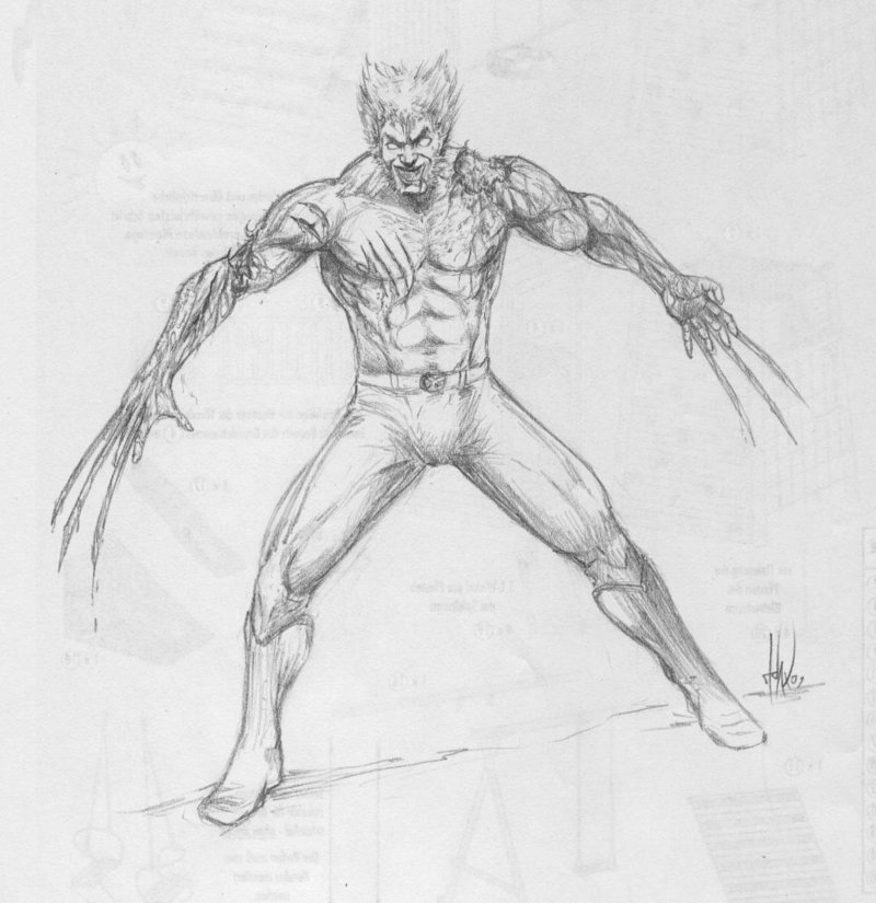 800x825 Wolverine Bloody Sketch By Tuax - Bloody Sketch
