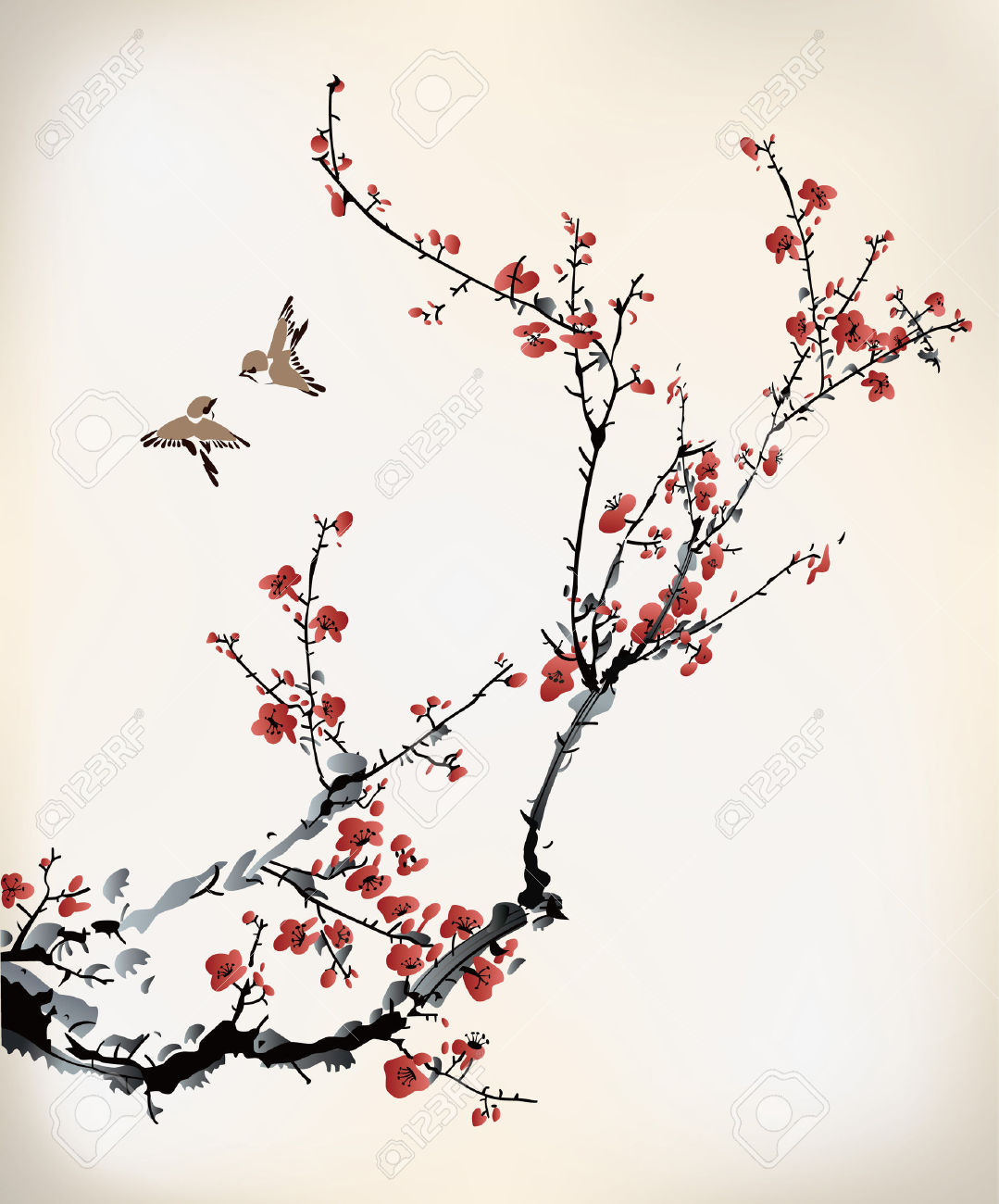 1079x1300 Chinese Cherry Blossom Drawing - Blossom Sketch