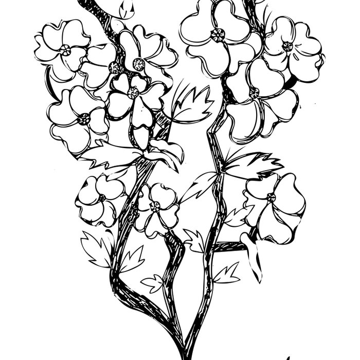 700x700 Flower Blossom Sketch Comforters By Paintbysam Society6 - Blossom Sketch