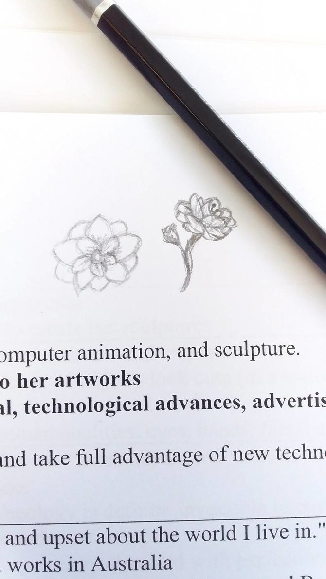 670x1191 Blossom Sketch - Blossom Sketch