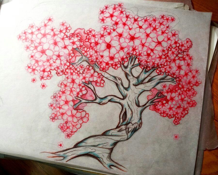 900x724 Cherry Blossom Tree Tattoo Sketch Tattoos And Piercings - Blossom Tree Sketch